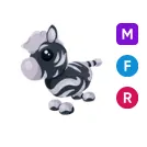 MFR ash zebra