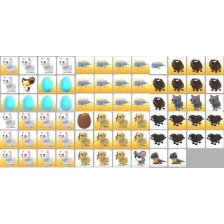 70x Pet Bundle - Adopt Me #5