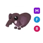 MFR Bush Elephant
