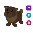 MFR CHOCOLATE CHOW CHOW