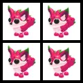 4x Dragonfruit Fox