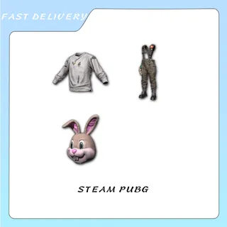 BUNNY ACADEMY MASCOT SET
