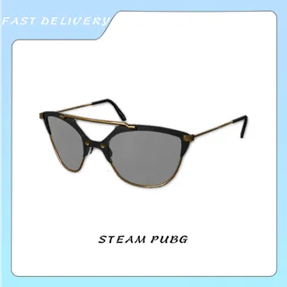 Gold Trim Cat Eye Sunglasses