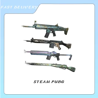 PGIS WEAPON SET (SLR)