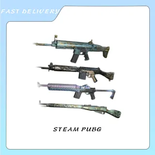 PGIS WEAPON SET (SLR)