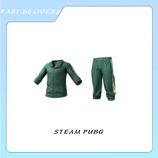 TRAINING SET (GREEN) PERMANENT