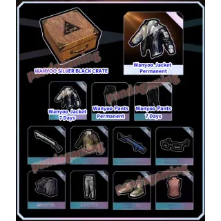 WANYOO SILVER BLACK CRATE X 10