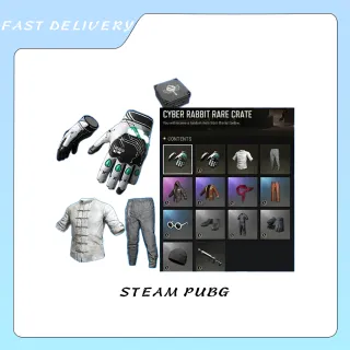 CYBER RABBIT RARE CRATE X 50