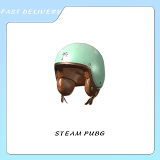 Summer Safety - Helmet (Level 1)