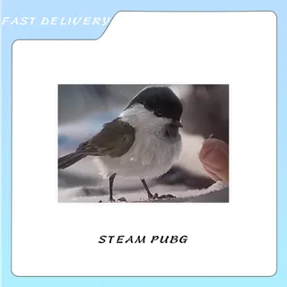 Vikendi Birb ID Card