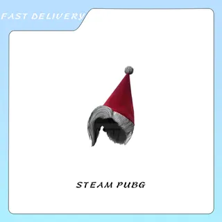 PUBG | Festive Elf Hat