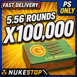 100k 5.56 Rounds
