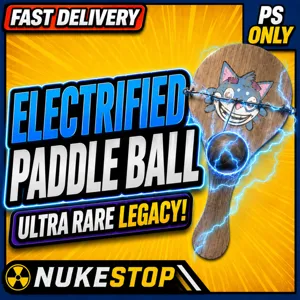 Electric Paddle Ball