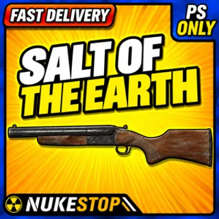 Salt Of The Earth