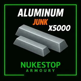 5000 Aluminum 