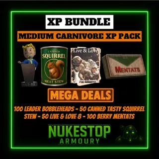 XP Bundle (Medium)