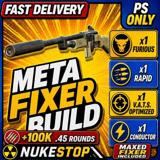Fixer + Mods + 100k Ammo