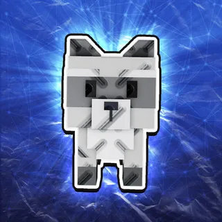 Raccoon