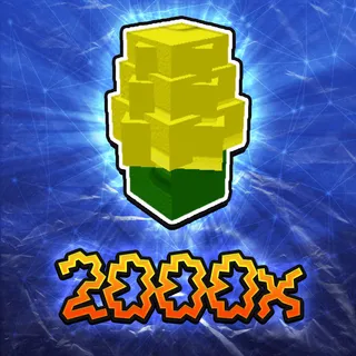 Corn Seed
