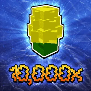Corn Seed