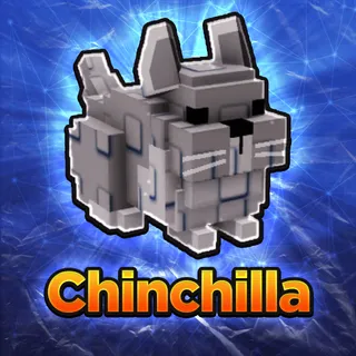 Chinchilla