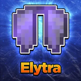 Elytra Donut SMP