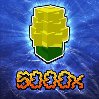 Corn Seed
