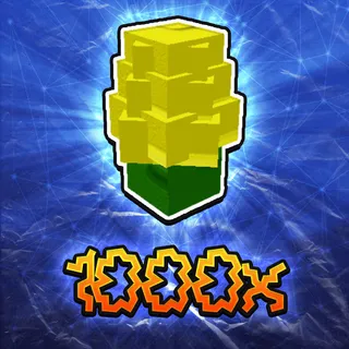 Corn Seed