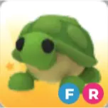 FR Turtle - Adopt Me