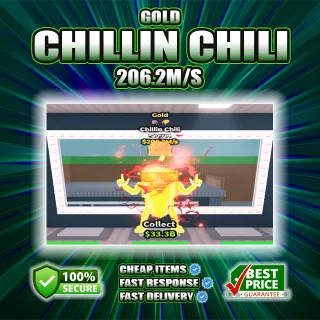206.2M/S GOLD CHILLIN CHILI
