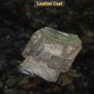 Leather Coat+500 Leaders