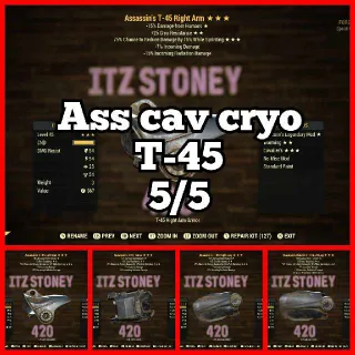 5/5 Ass Cav Cryo T 45