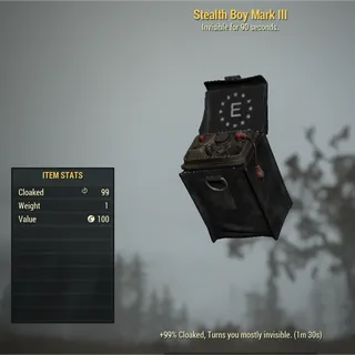 200x Stealth Boy