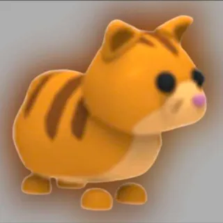 Ginger Cat