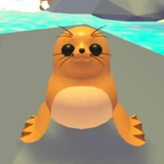 Galapagos Sea Lion