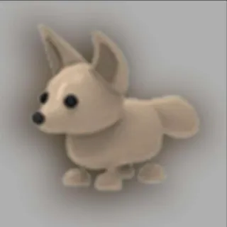Fennec Fox