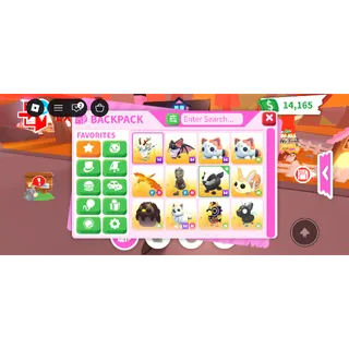 Adopt me inventory!