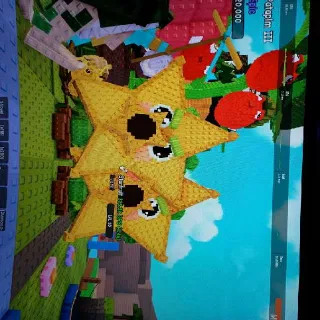 Two Big Starfruit