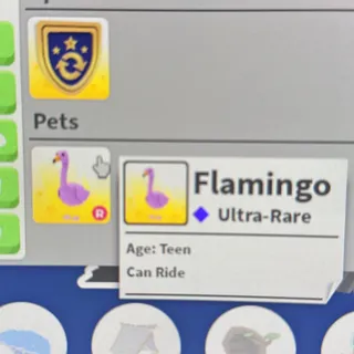 Ride Flamingo ADOPT ME