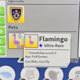 FR Flamingo ADOPT ME
