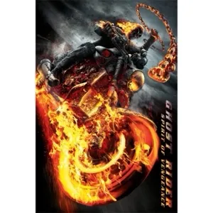 Ghost Rider: Spirit of Vengeance sd on ma