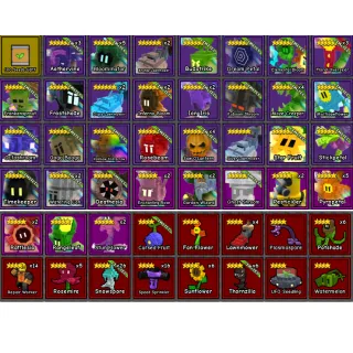 Bundle (Perfect for Starters!!)