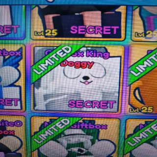 SM Giftbox King Doggy