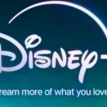 $200.00 Disney+ GIFTCARD with pin 