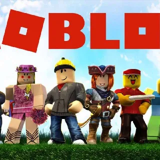 $23.99 USD Roblox