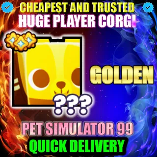 HUGE PLAYER CORGI GOLDEN