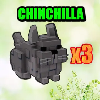 CHINCHILLA