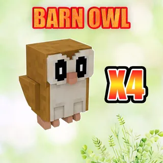 BARN OWL