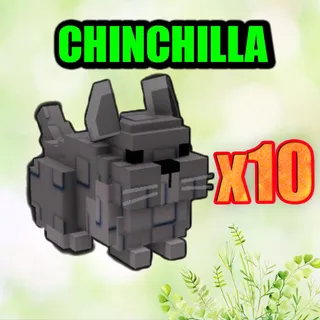CHINCHILLA