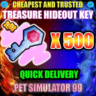 TREASURE HIDEOUT KEY X500 